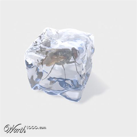 Photoshop Design by INMATErex