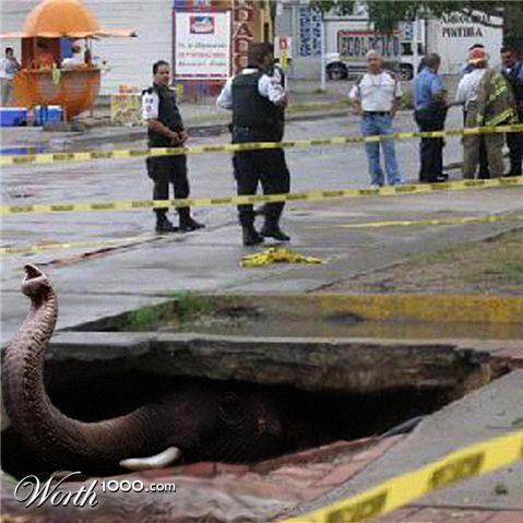 Photoshop Design by curi222