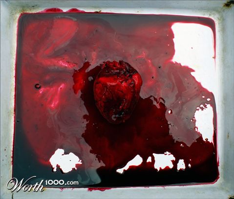 Photography by JANIELLE