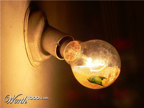 Photoshop Design by mediagraphik