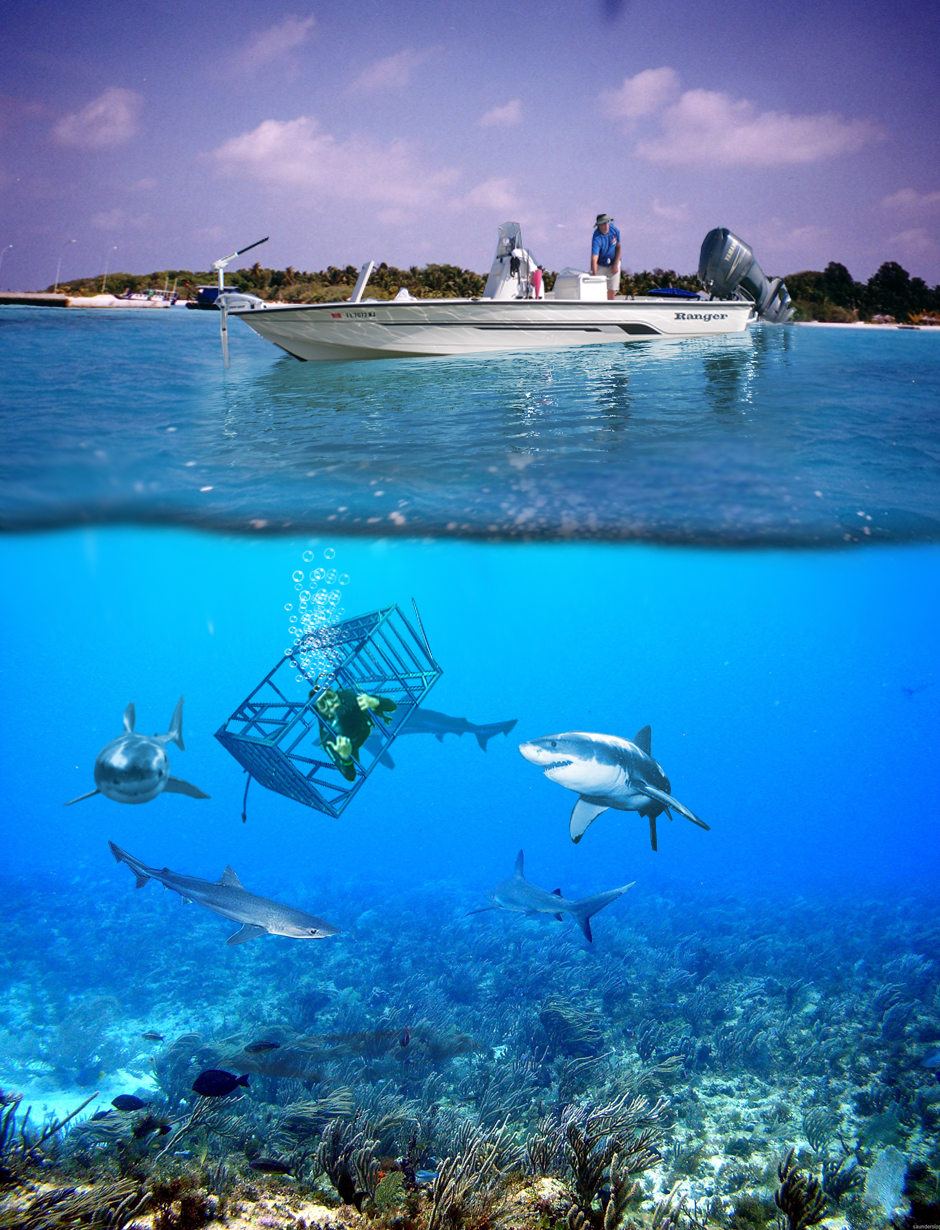 Diseño de Photoshop por Guillememo para DesignCrowd (Community Contests) | Diseño #8955267