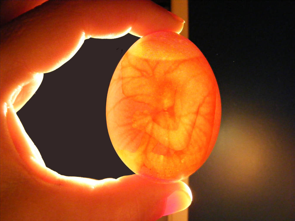 Photoshop Design by bicyclewilli for DesignCrowd (Community Contests) | Design #8955201