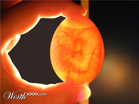 Photoshop Design by bicyclewilli