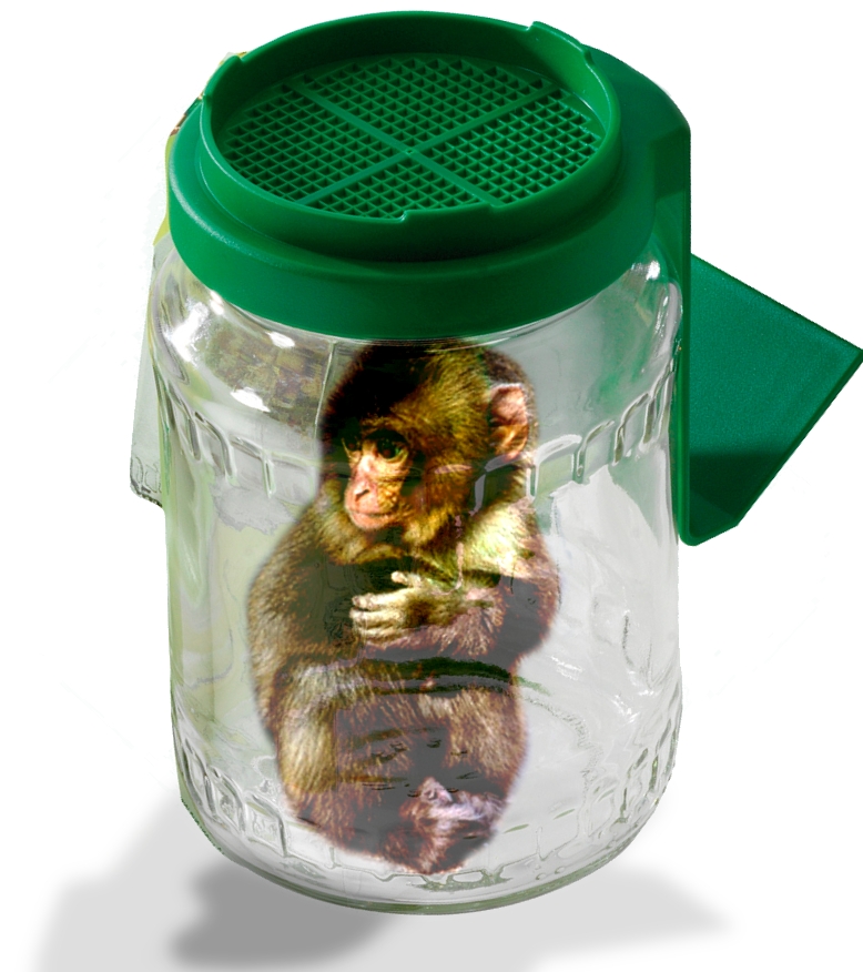 Photoshop Design by GutsAndGlory for DesignCrowd (Community Contests) | Design #8955249