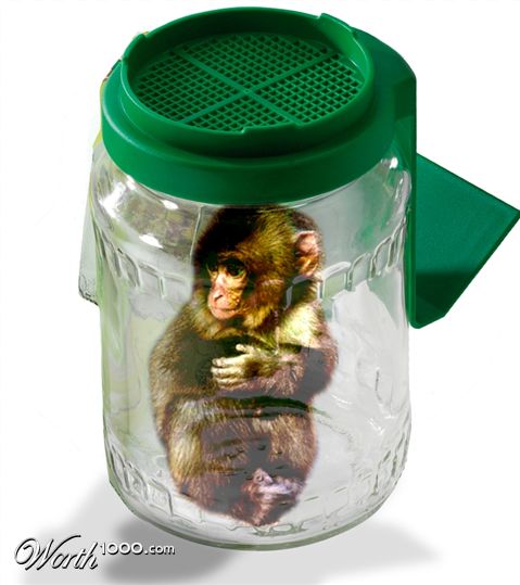 Photoshop Design by GutsAndGlory