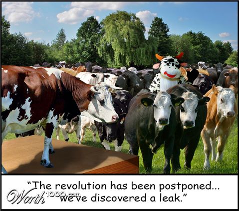 Photoshop Design by Biddee