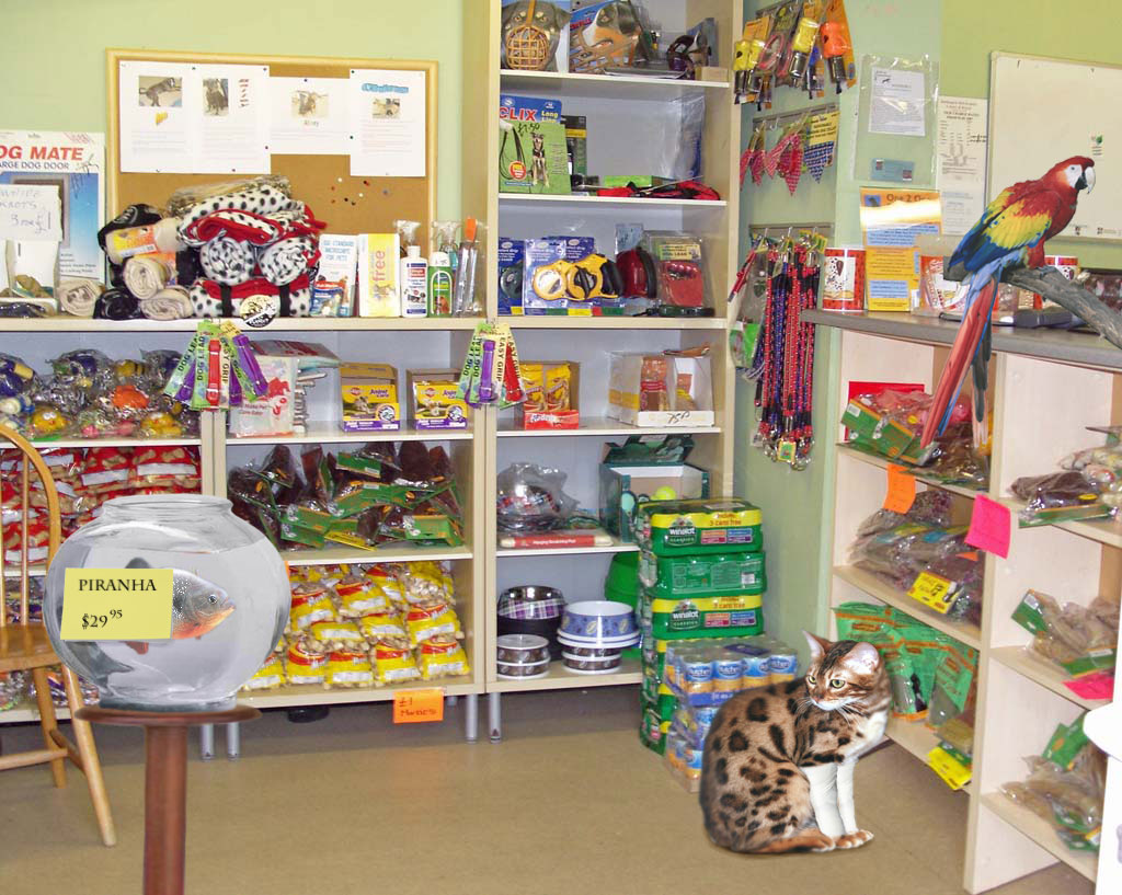 Photoshop Design by Arathorn for DesignCrowd (Community Contests) | Design #8947433