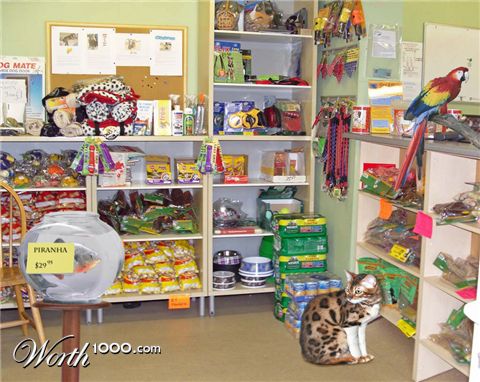 Photoshop Design by Arathorn