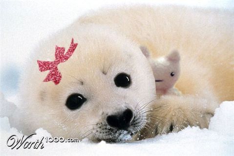 Photoshop Design by chocmonster