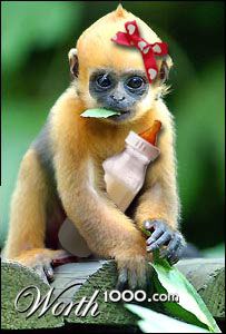 Photoshop Design by MianV