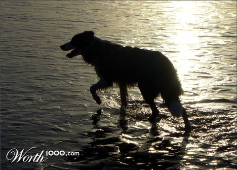 Photography by IsleofJura