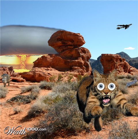 Photoshop Design by vanillaxgorilla