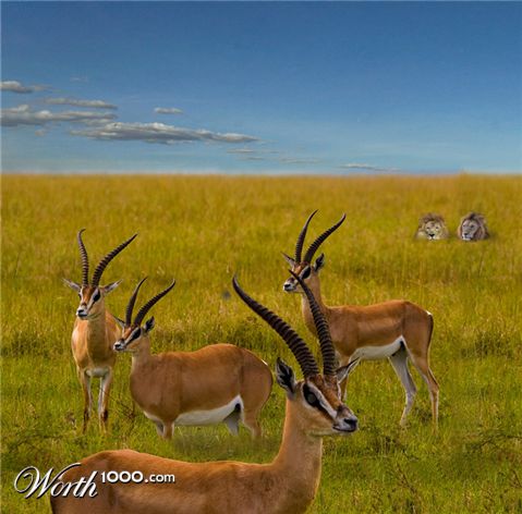 Photoshop Design by snakebit