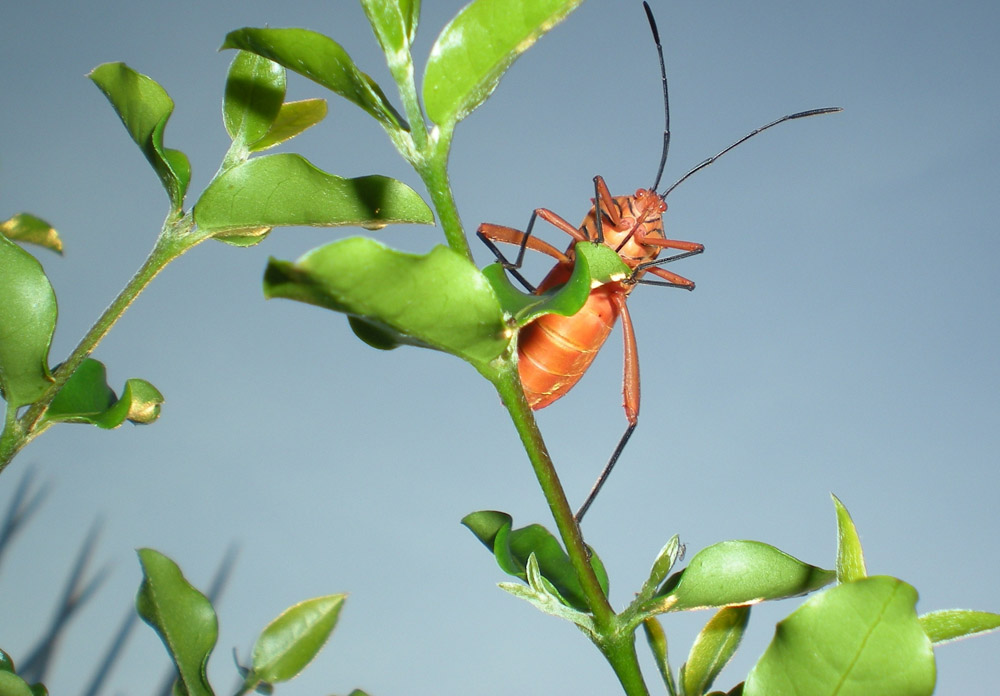 Fotografía por TRANSCENDENTalMAN para DesignCrowd (Community Contests) | Diseño #8951441