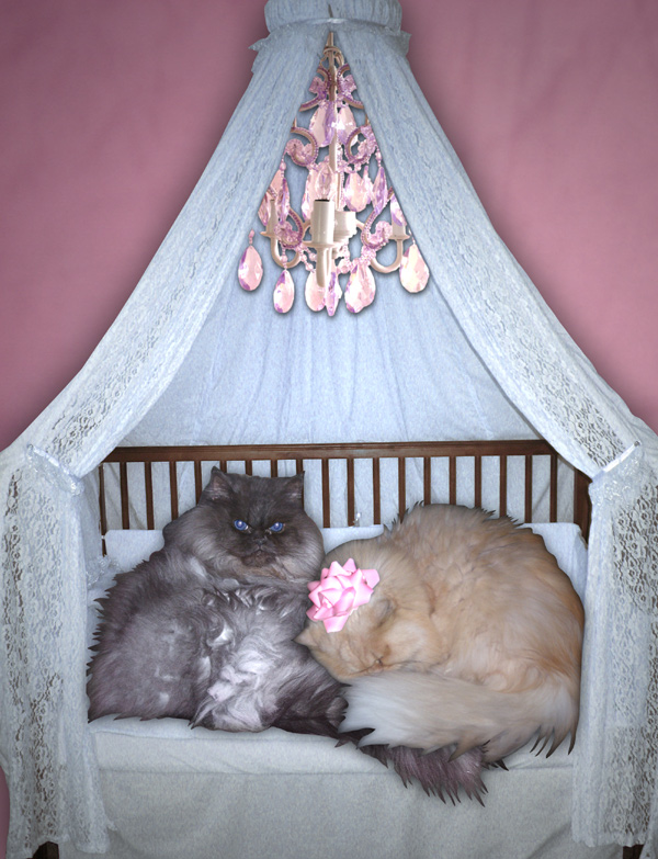 Photoshop Design by DukeBlueMH for DesignCrowd (Community Contests) | Design #8946627