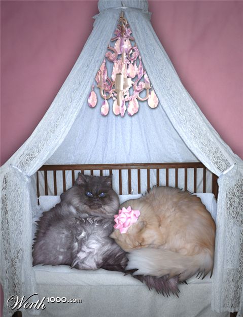 Photoshop Design by DukeBlueMH