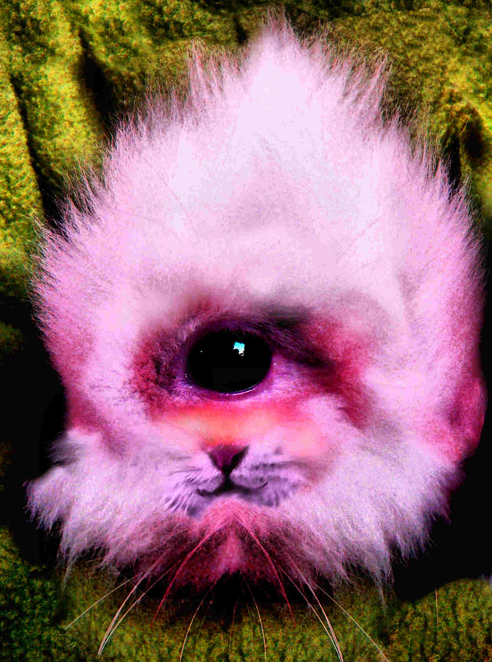 Photoshop Design by philgtaylor for DesignCrowd (Community Contests) | Design #8946618