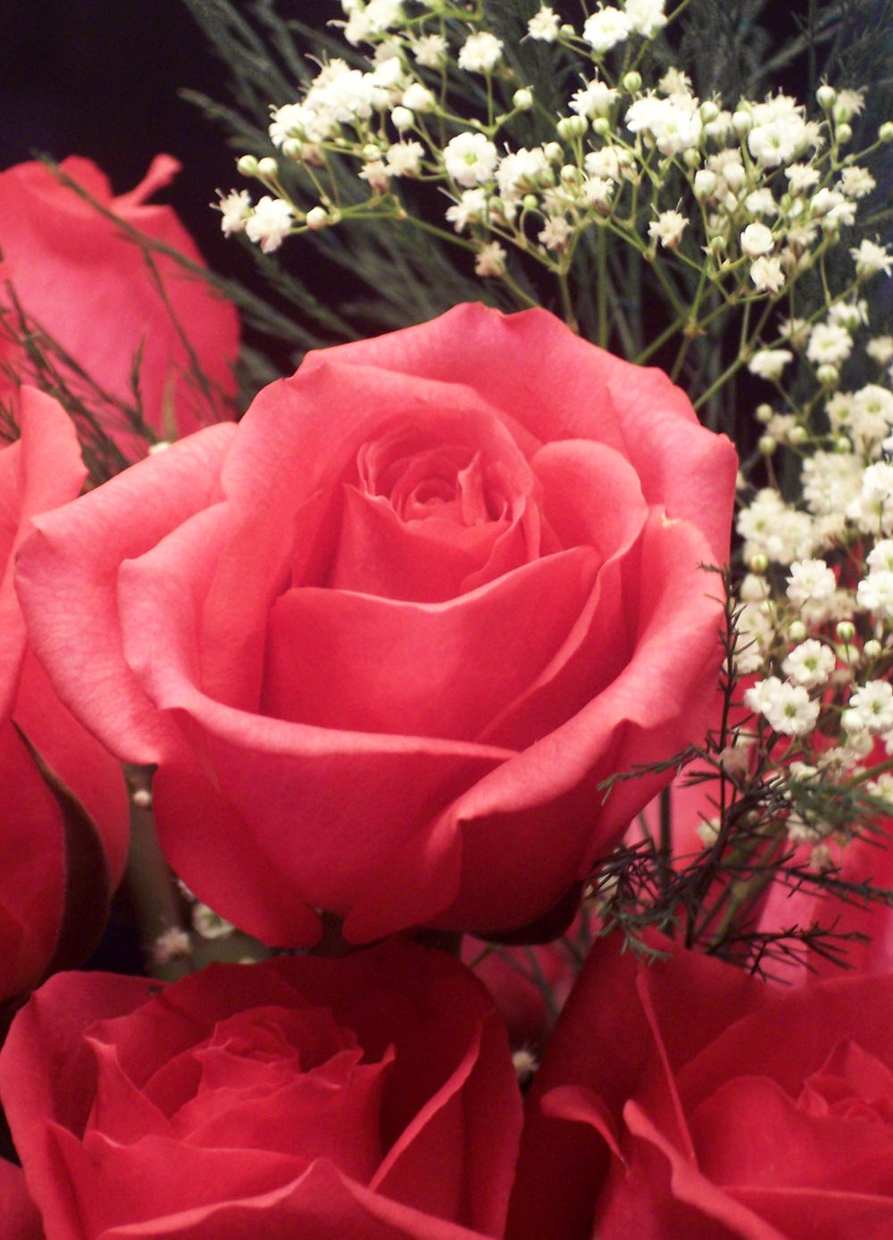 Photography by mindy3051 for DesignCrowd (Community Contests) | Design #8950350