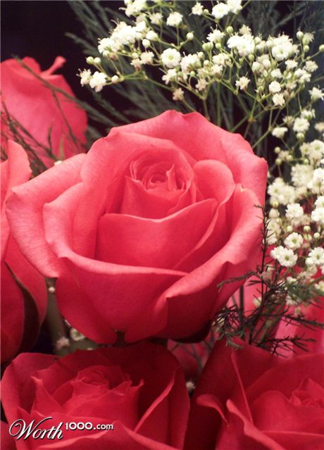 Photography by mindy3051