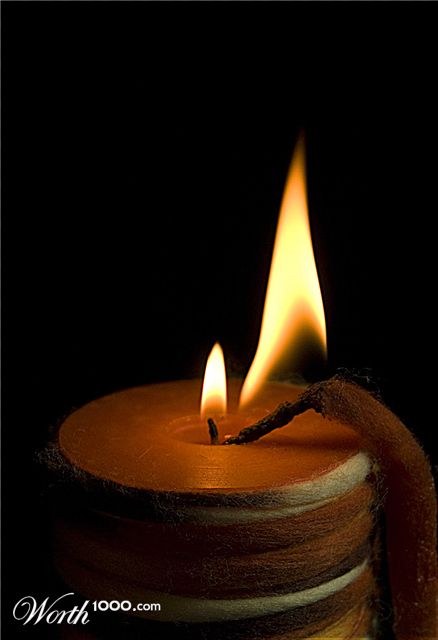 Photography by cshutt