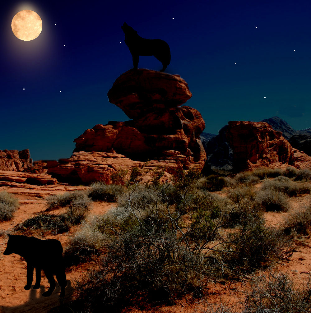 Photoshop Design by blazingguns for DesignCrowd (Community Contests) | Design #8945420