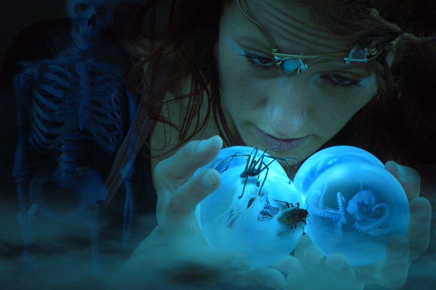 Photoshop Design by marymagdalyne for DesignCrowd (Community Contests) | Design #8954766