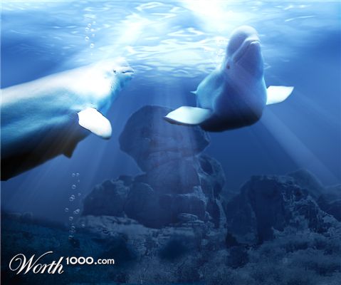 Photoshop Design by castagnes