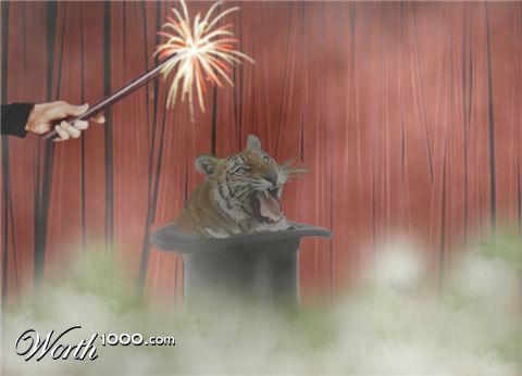Photoshop Design by sveltwolf