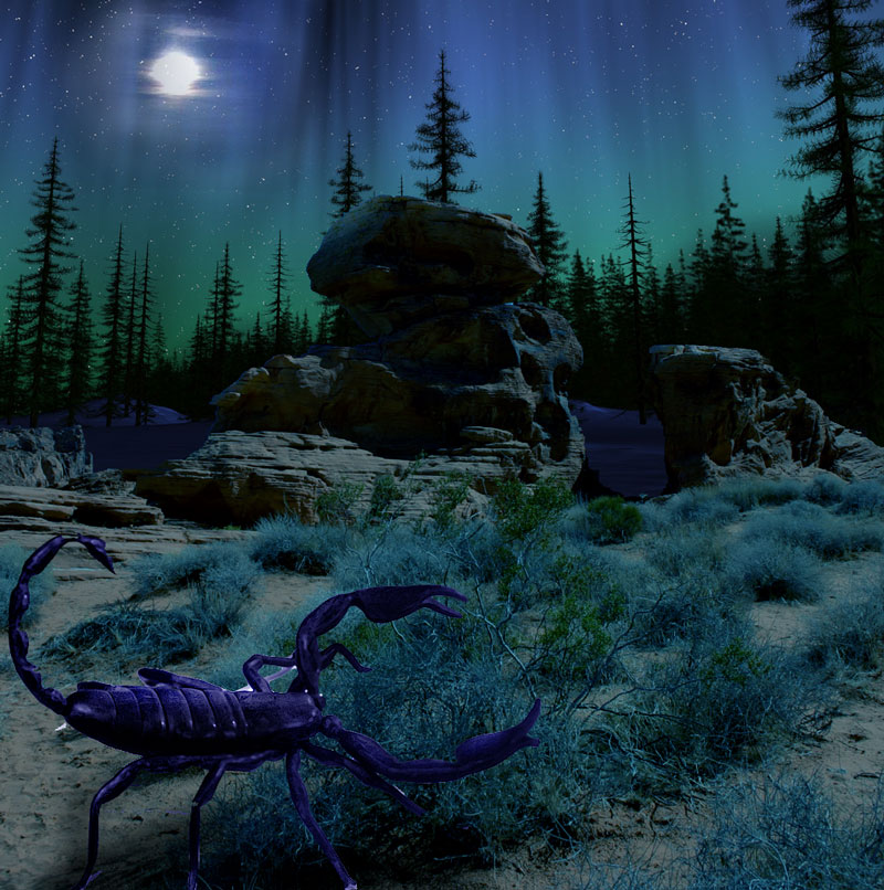 Photoshop Design by downknew for DesignCrowd (Community Contests) | Design #8945502