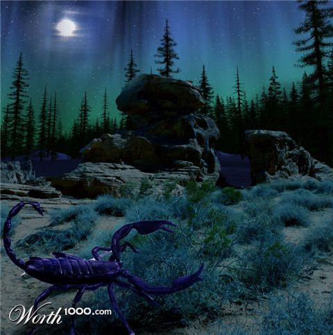 Photoshop Design by downknew