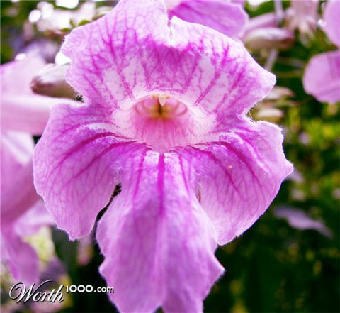 Photography by Rubees