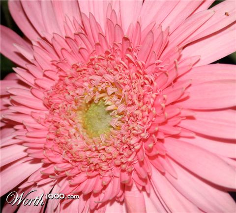 Photography by rebeccatroy