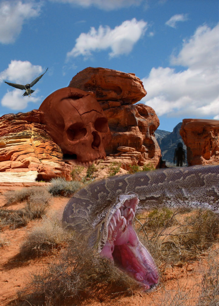 Photoshop Design by LuckyStrikeRED for DesignCrowd (Community Contests) | Design #8945513