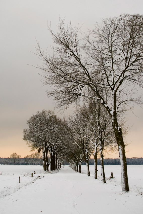 Photographie par Marian pour DesignCrowd (Community Contests) | Design #8949085