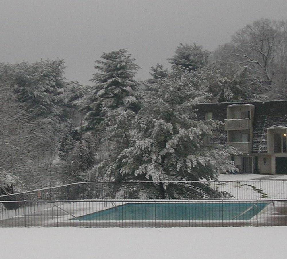 Photography by shellss11 for DesignCrowd (Community Contests) | Design #8949090