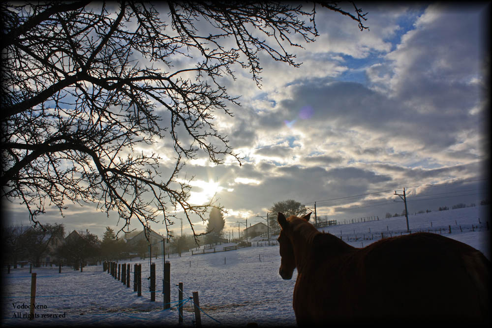 Fotografía por Vodoc1005 para DesignCrowd (Community Contests) | Diseño #8949106