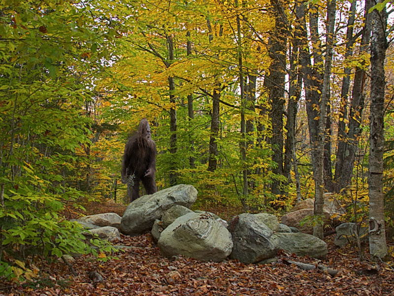 Photoshop Design by pinkthong for DesignCrowd (Community Contests) | Design #8952757