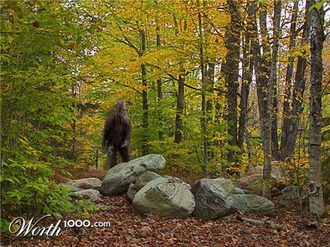 Photoshop Design by pinkthong