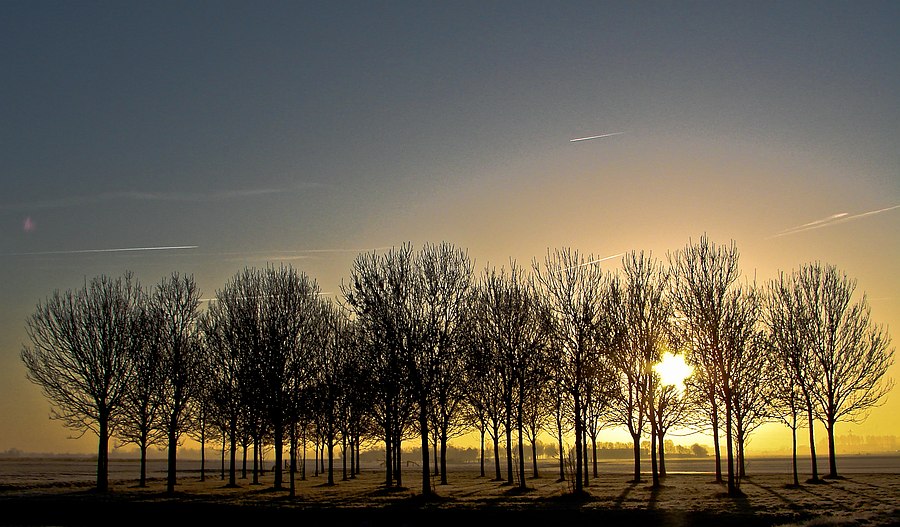 Photography by Jaap54 for DesignCrowd (Community Contests) | Design #8949122