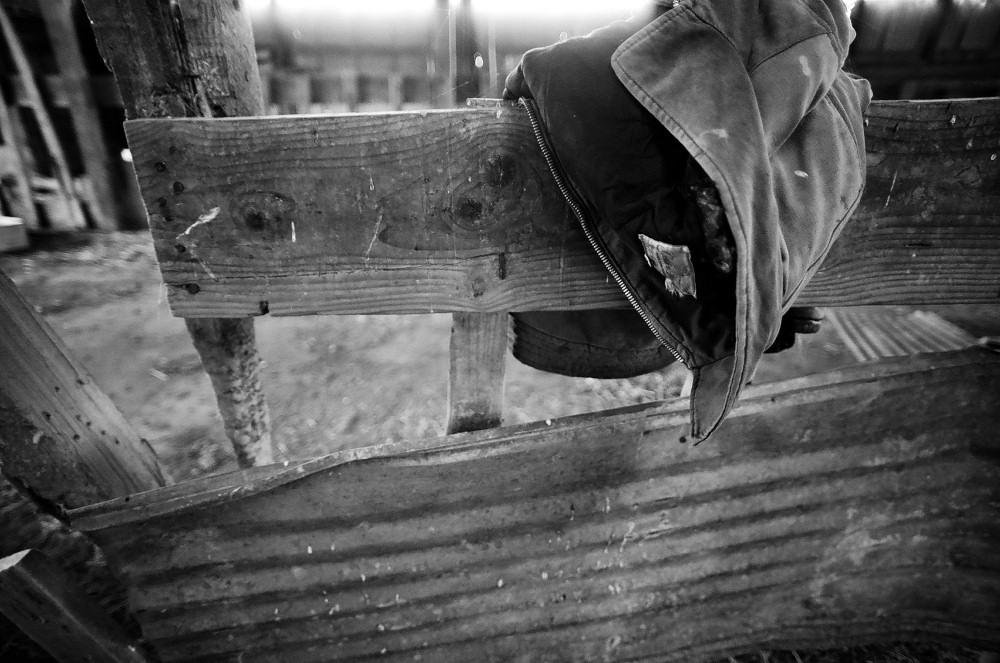 Photography by Francoise for DesignCrowd (Community Contests) | Design #8945223