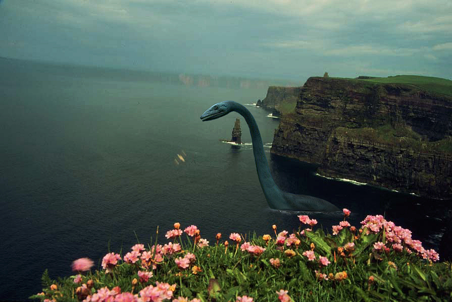 Photoshop Design by visualX for DesignCrowd (Community Contests) | Design #8952771