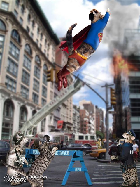 Photoshop Design by patrickgmarini