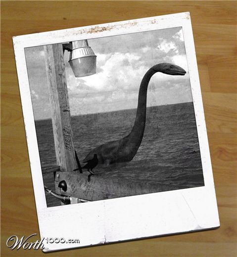 Photoshop Design by FuryMay