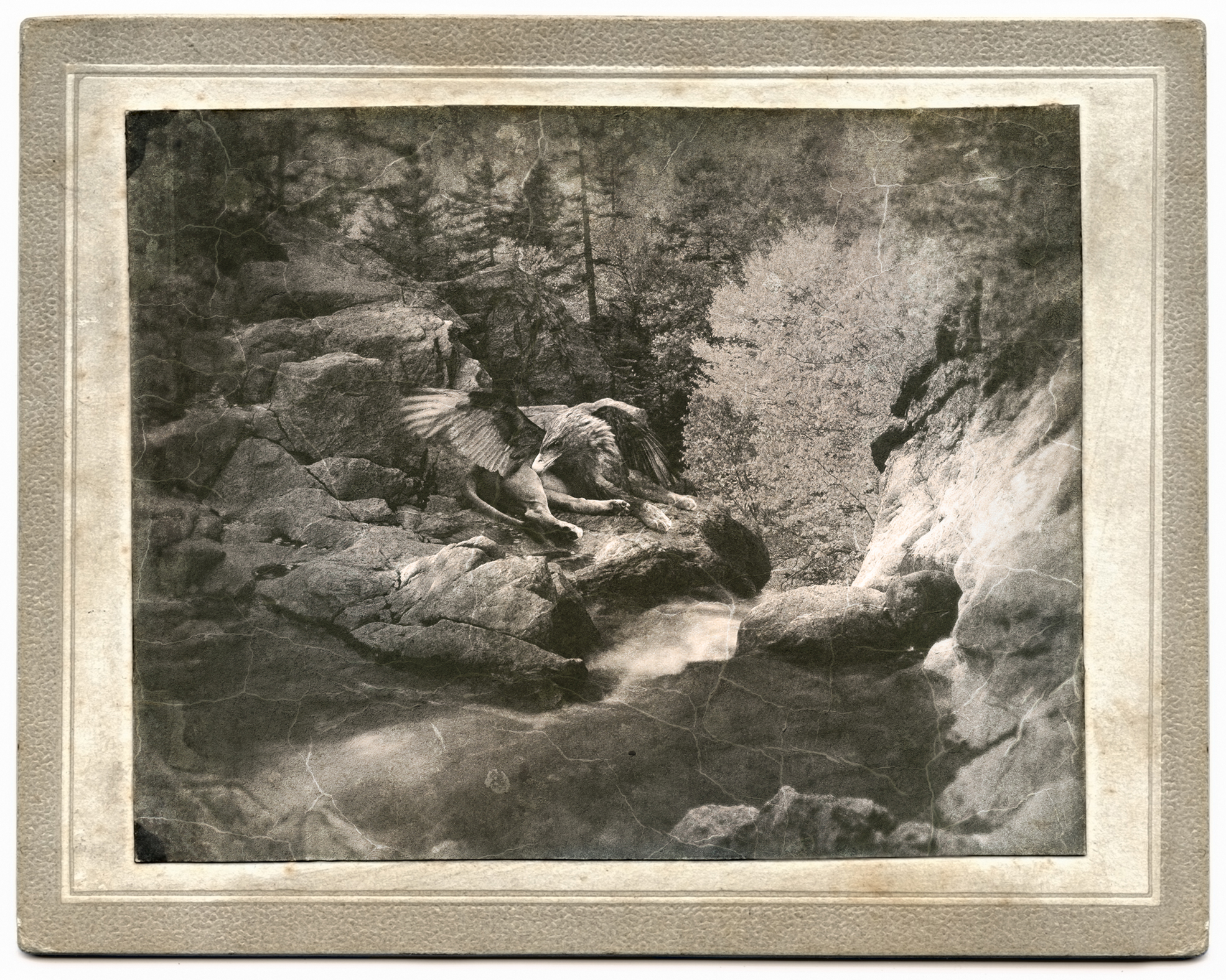 Photoshop Design by Sergej10 for DesignCrowd (Community Contests) | Design #8952906