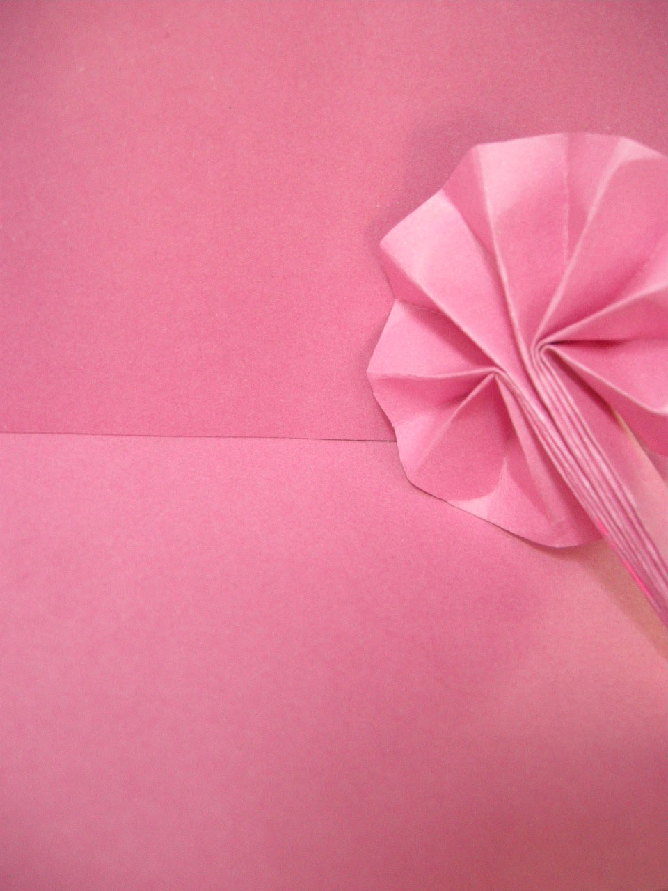 Photography by Jayahada for DesignCrowd (Community Contests) | Design #8950449