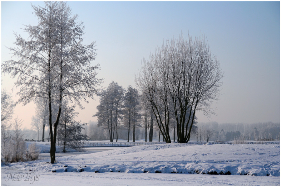 Fotografía por nelethys para DesignCrowd (Community Contests) | Diseño #8949128