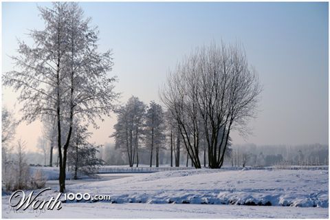 Photography by nelethys