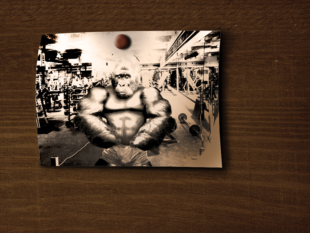 Photoshop Design by 2lio86 for DesignCrowd (Community Contests) | Design #8952903