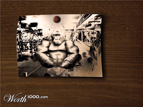 Photoshop Design by 2lio86