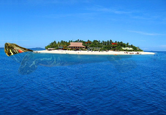 Photoshop-Design von Nusbaum für DesignCrowd (Community Contests) | Design #8952866